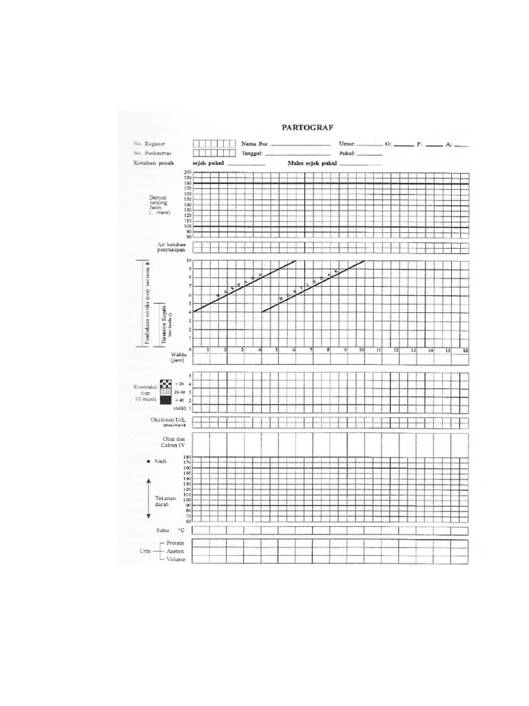 Patograf | PDF