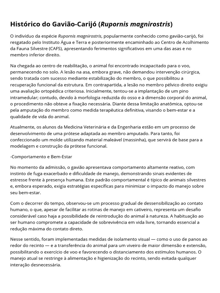 Reabilitação do Gavião-Carijó Amputado | PDF | Asa