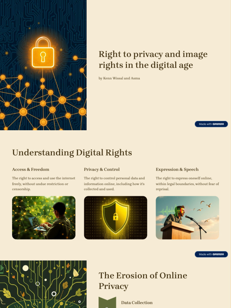 Digital Privacy and Image Rights Guide | PDF | Privacy | Cyberspace