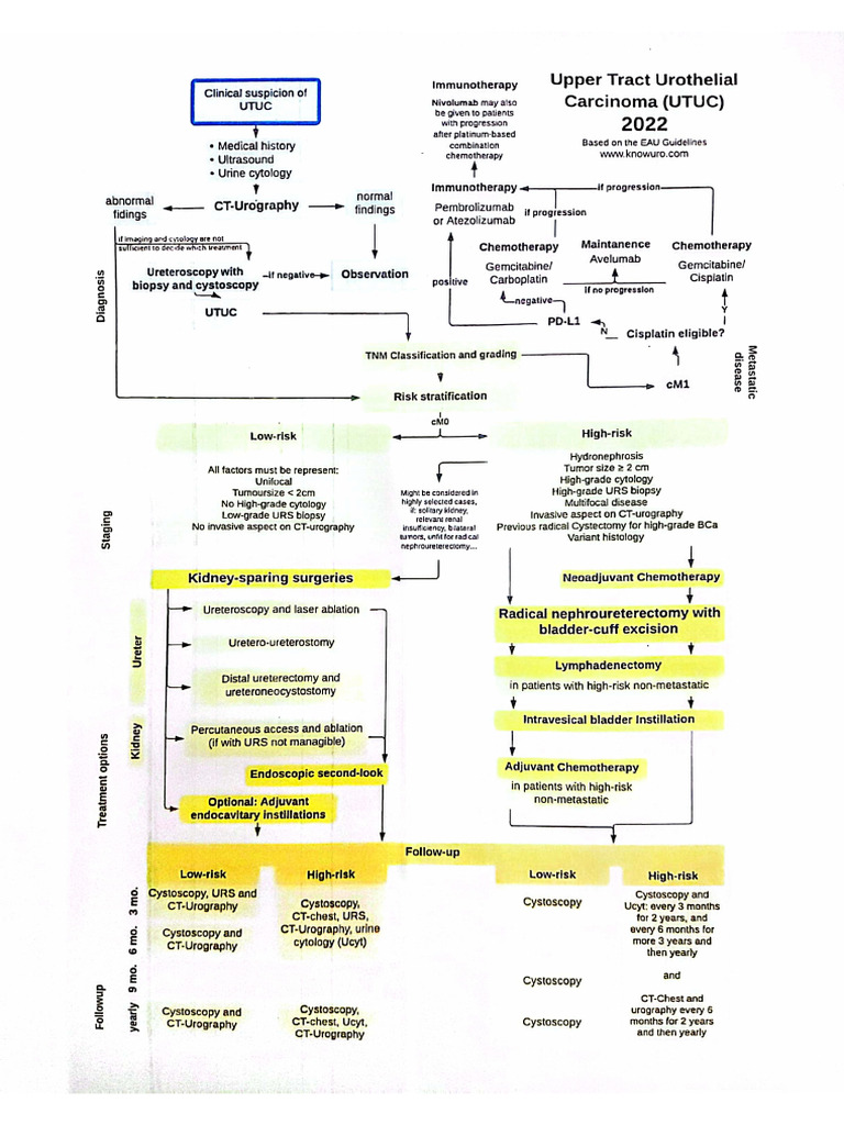 UTUC flow chart | PDF
