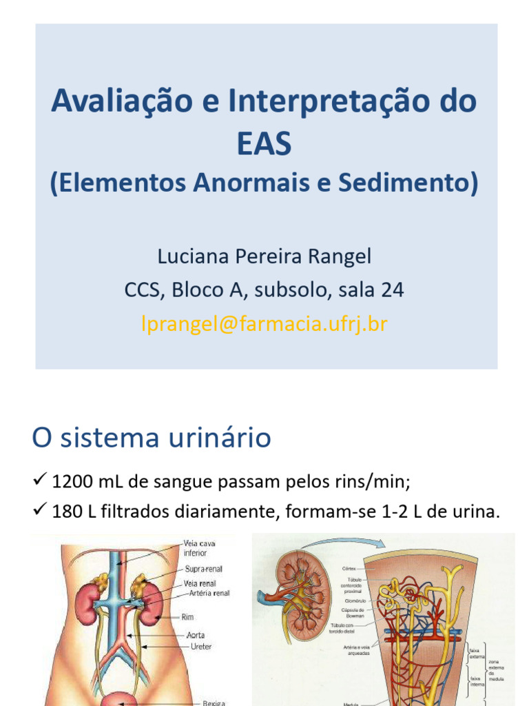 Avaliação do Exame de Urina EAS | PDF | Diabetes | Especialidades médicas
