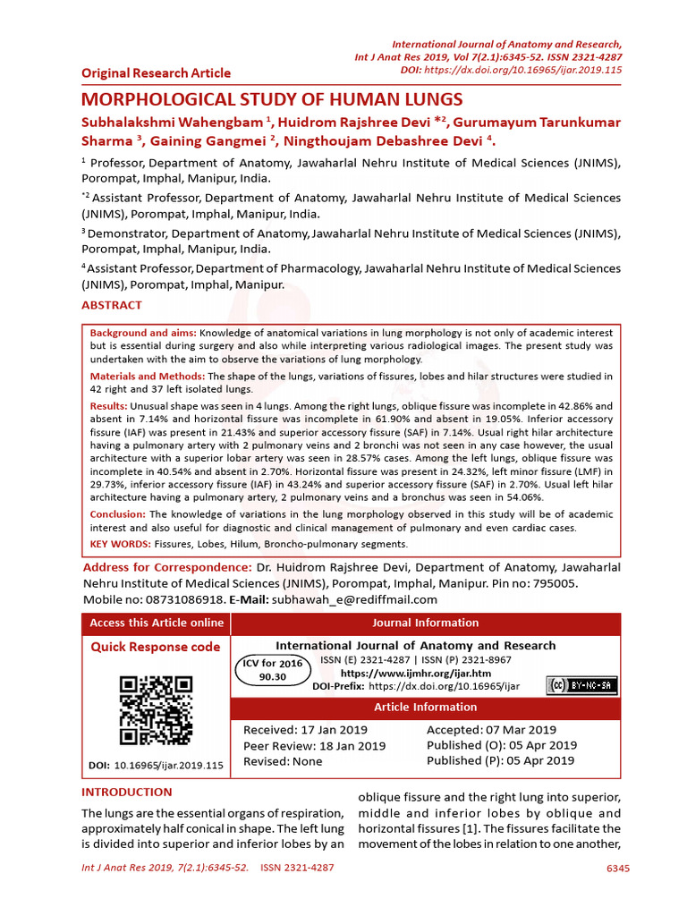 Variations in Human Lung Morphology | PDF | Lung | Thorax (Human Anatomy)