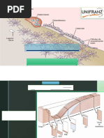 Clasificación de Genant en Fracturas Vertebrales | PDF | Osteoporosis ...