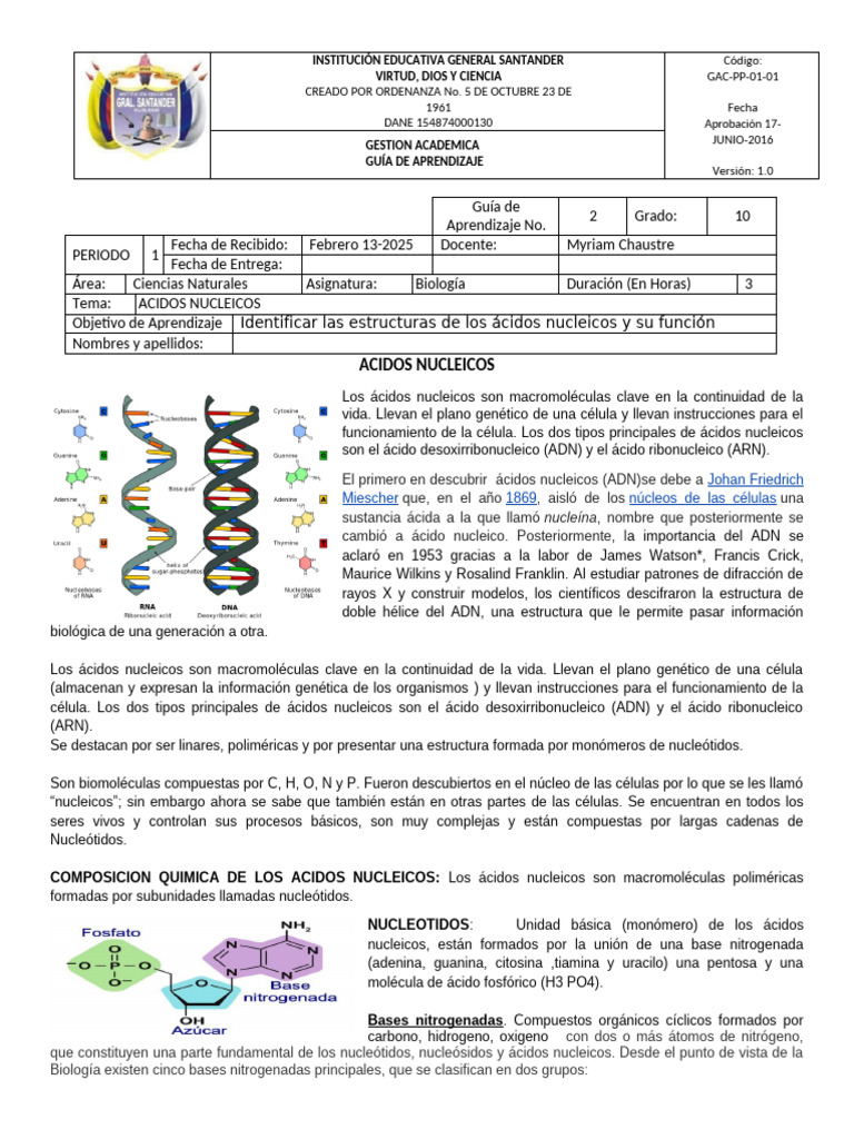 Esquema de Ácidos Nucleicos | PDF | Adn | Rna