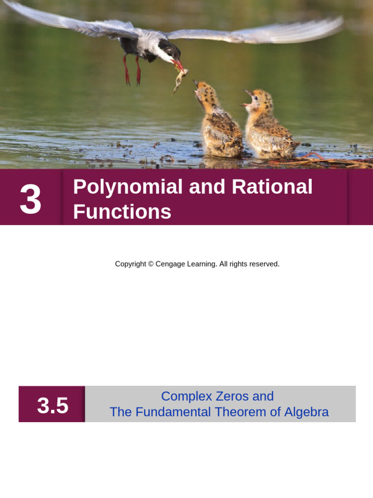 StewartPCalc7 03 05 | PDF | Factorization | Polynomial
