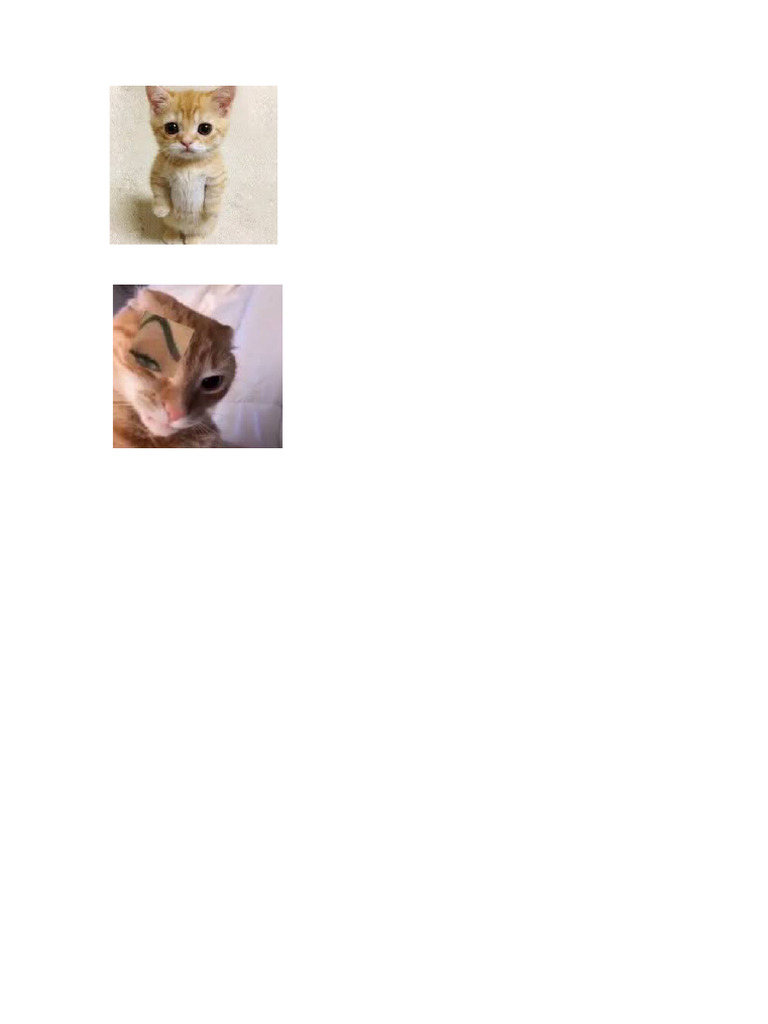 Memee | PDF