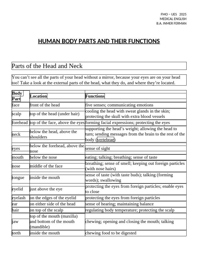 Human Body Parts and Their Functions | PDF | Human Body | Muscle