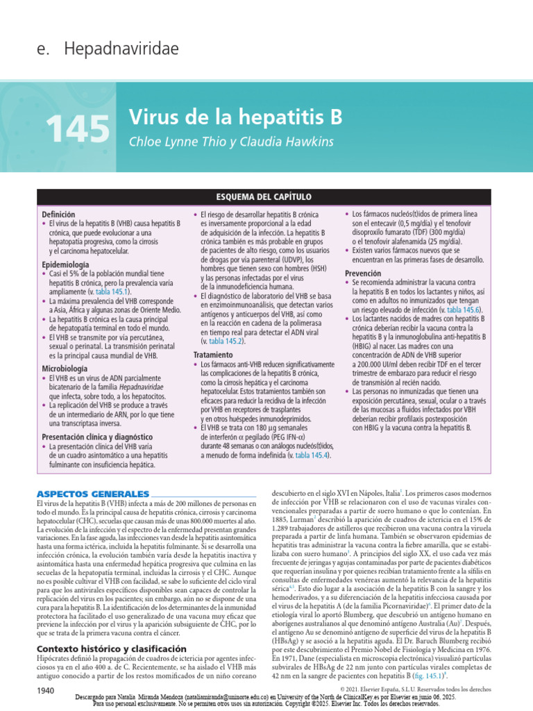 Virus de La Hepatitis B: E. Hepadnaviridae | PDF | Hepatitis B | Hepatitis