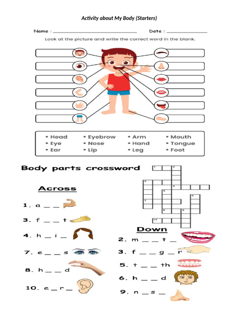 Activity About My Body (Starters) | PDF