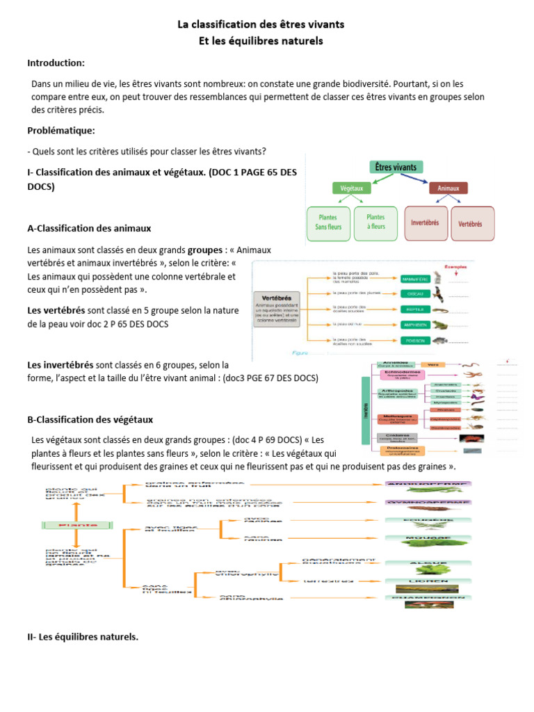 Classification des êtres vivants et équilibre | PDF | Plantes | Écologie