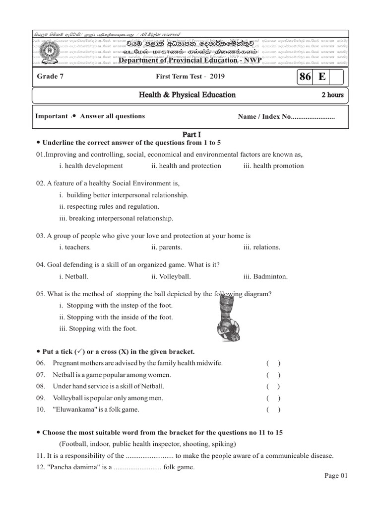 Grade 7 Health First Term Test Paper | PDF