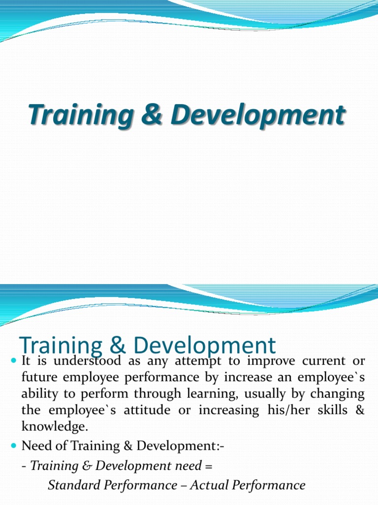 Training & Development | PDF