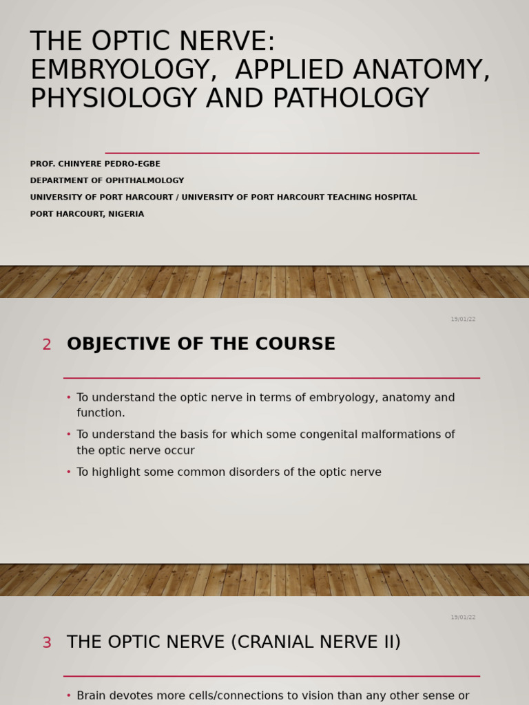 Understanding the Optic Nerve | PDF | Visual System | Nervous System