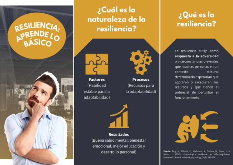 Resil Iencia: Básico APR Ende Lo ¿Qué Es La Resiliencia? | PDF