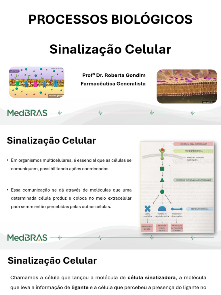Downregulation na Sinalização Celular | PDF | Receptor (Bioquímica ...
