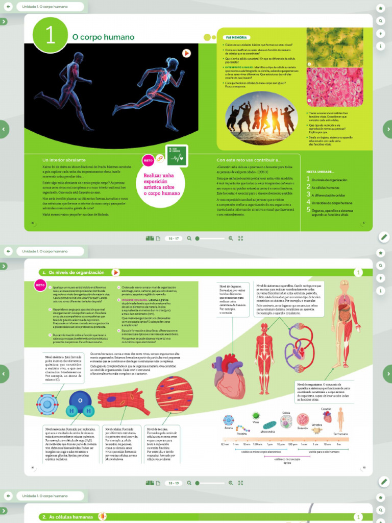 Tema 1 | PDF