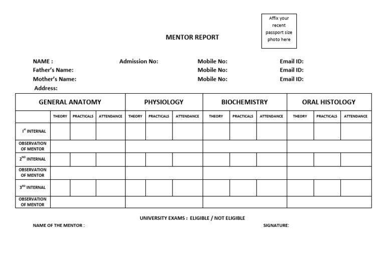 Mentor Report Template | PDF