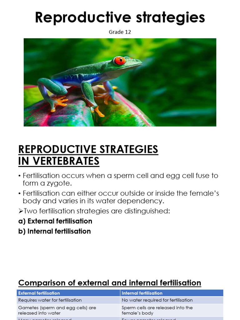 Reproductive Strategies | PDF | Egg | Fertilisation