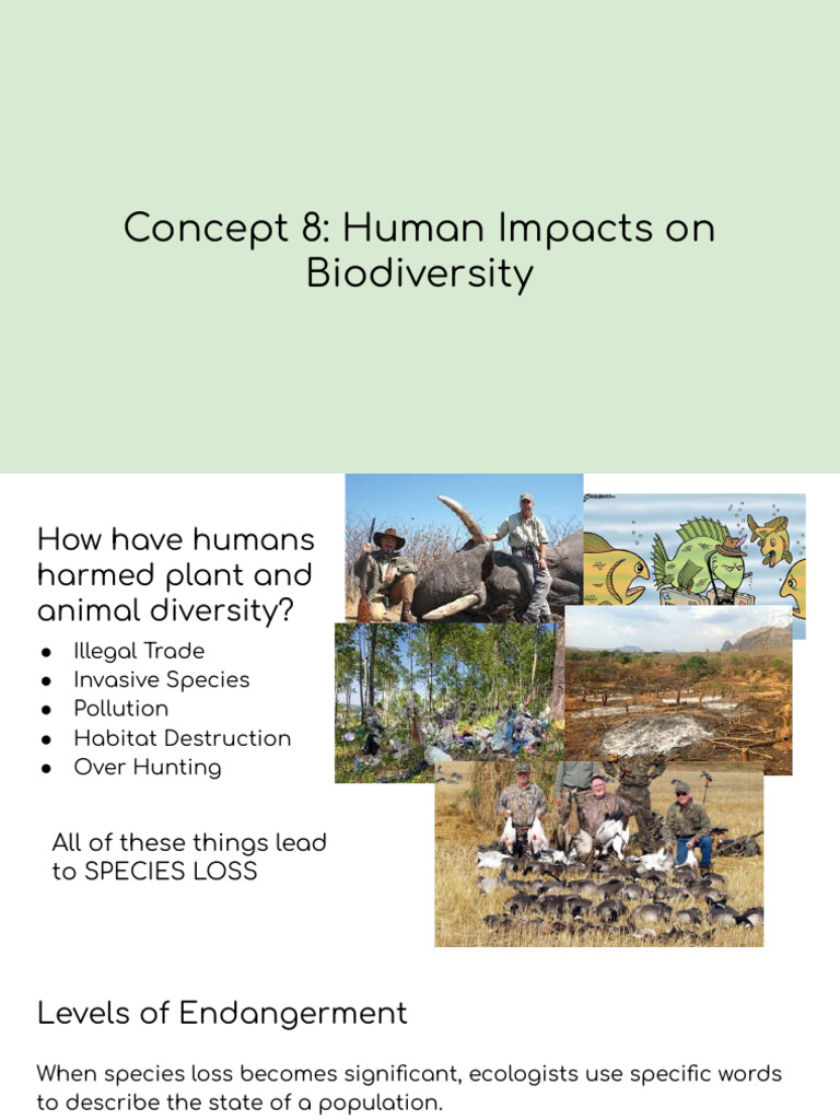 Human Impacts on Biodiversity Explained | PDF