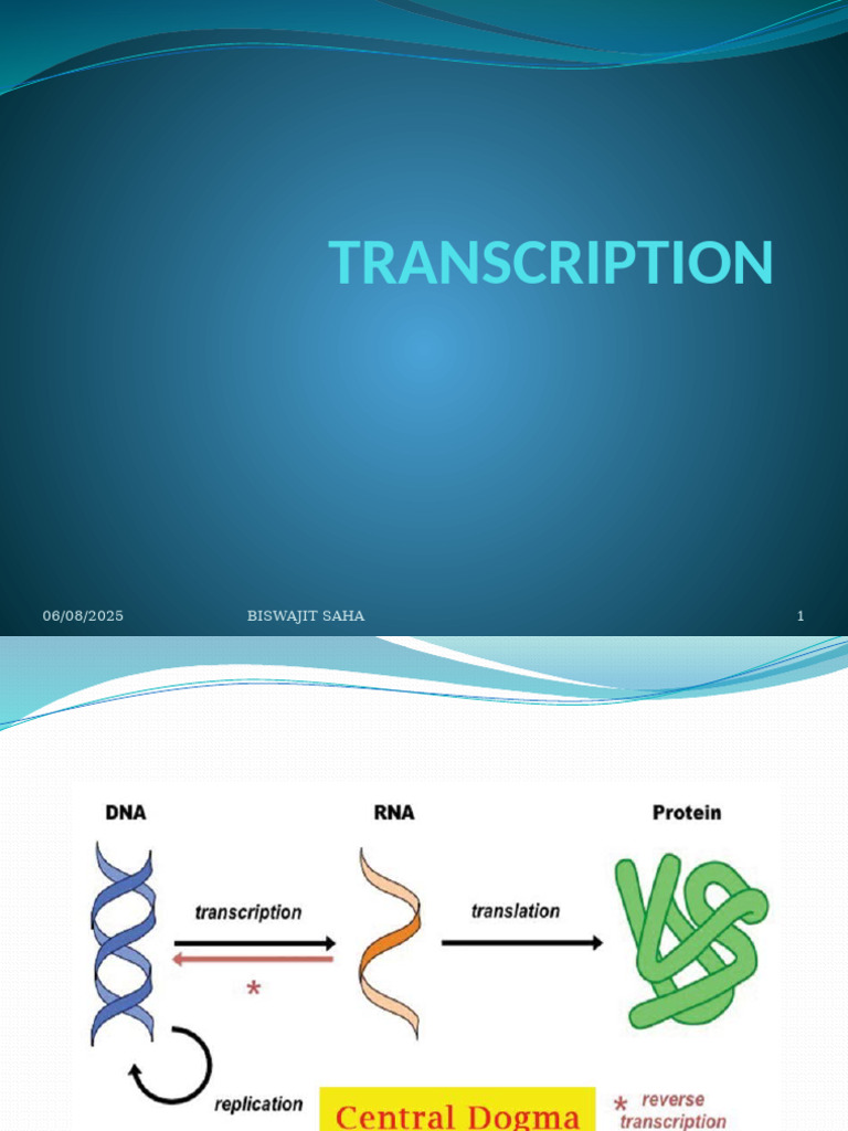 Transcription | PDF