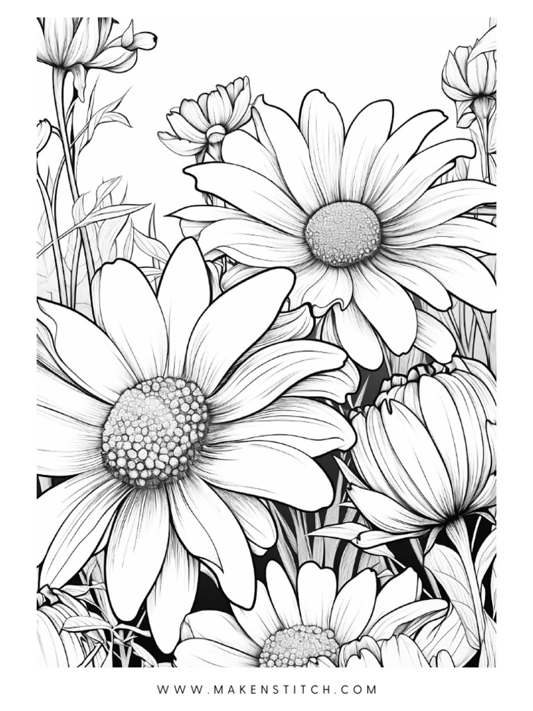 33 Realistic Daisies Coloring Sheet Printable | PDF
