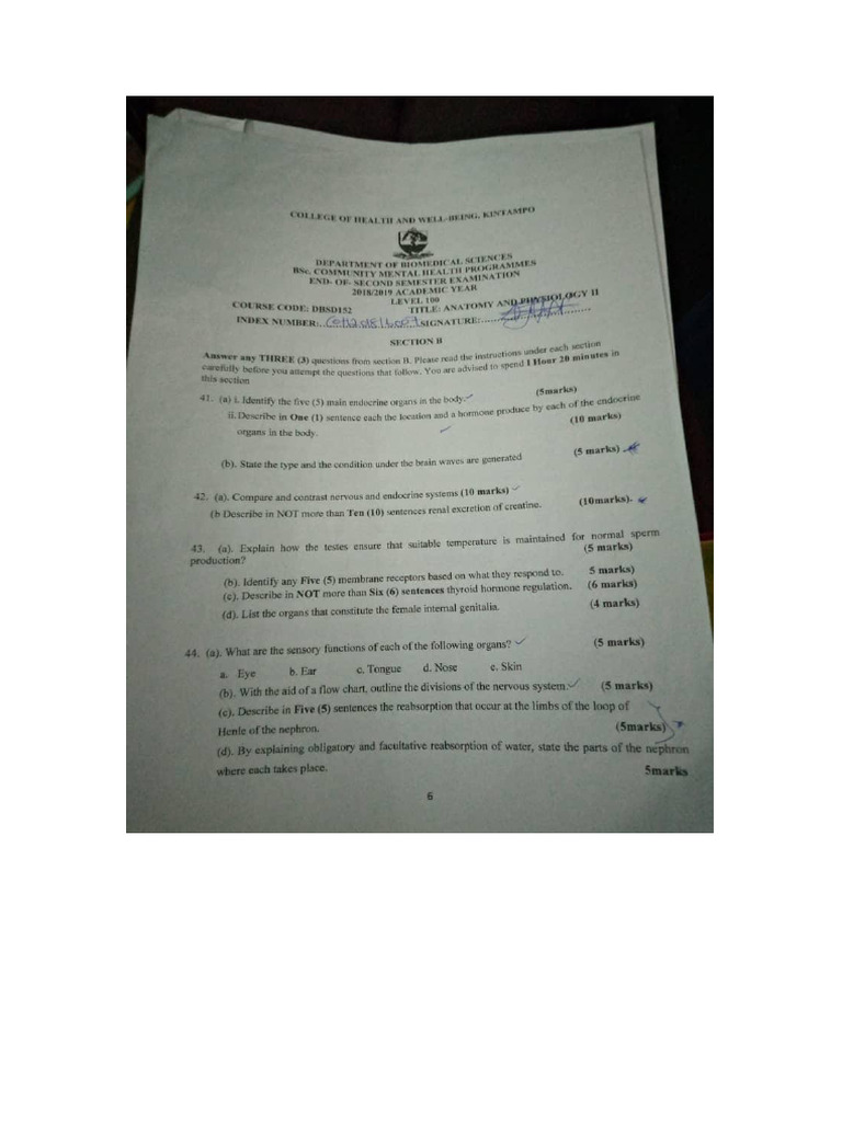 Anatomy and Physiology II | PDF