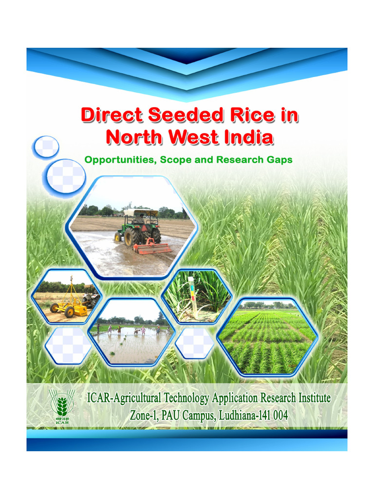Direct Seeded Rice in NW India: Insights | PDF | Rice | Weed