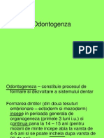 3 Odontogenza