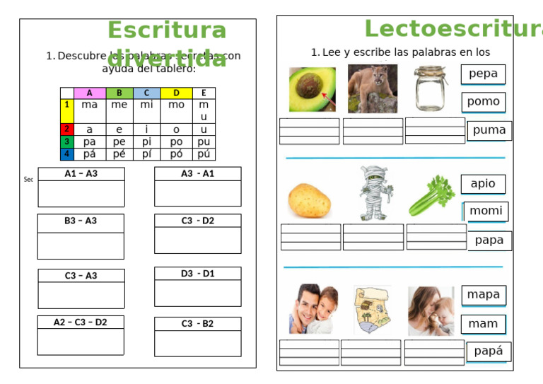 Ficha M y P | PDF