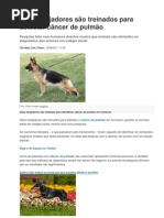 Cães farejadores são treinados para detectar câncer de pulmão