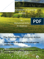 The Mechanism of Enzyme Action