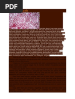 Download Batik Aceh by vani_nessya SN87349577 doc pdf