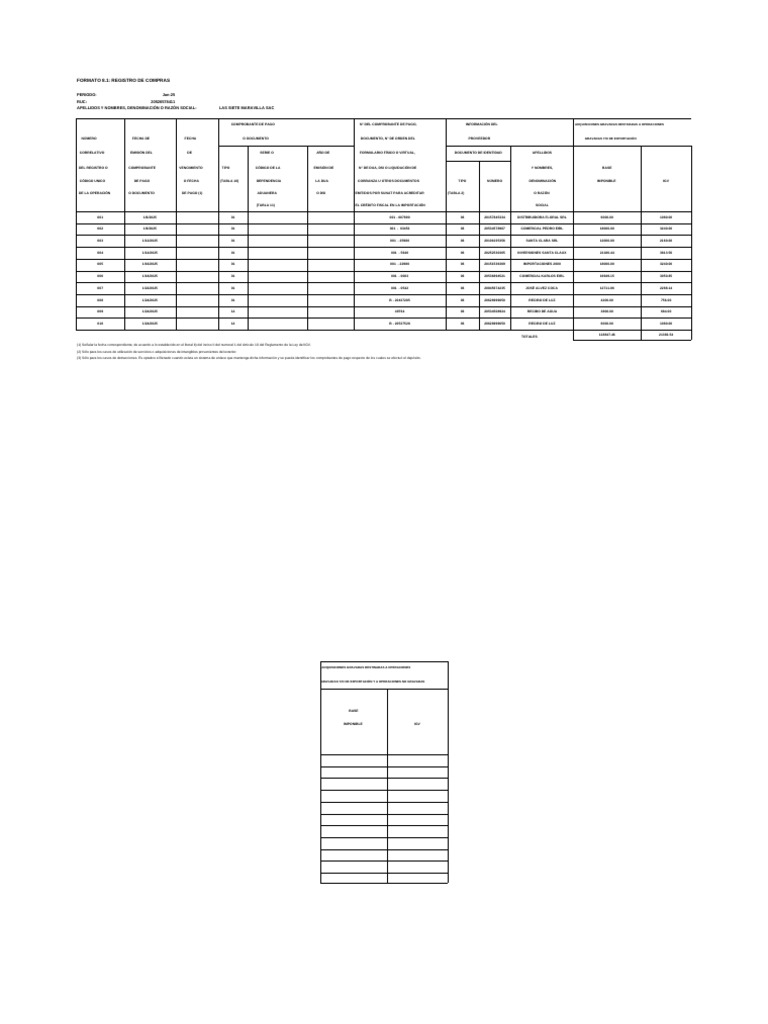 Registro de Compras Enero 2025 | PDF
