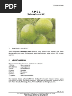 Download Apel by dhiforester SN8735152 doc pdf