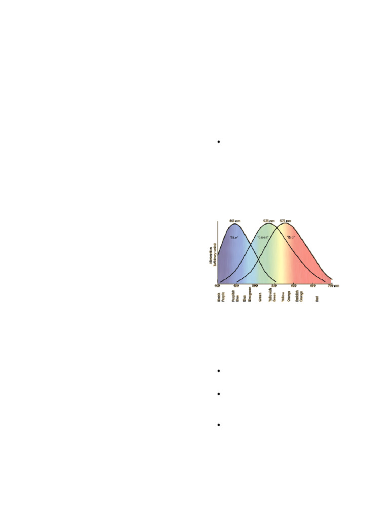 Science Color Pers 2 | PDF | Color | Hue