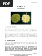 Download Durian by dhiforester SN8735391 doc pdf