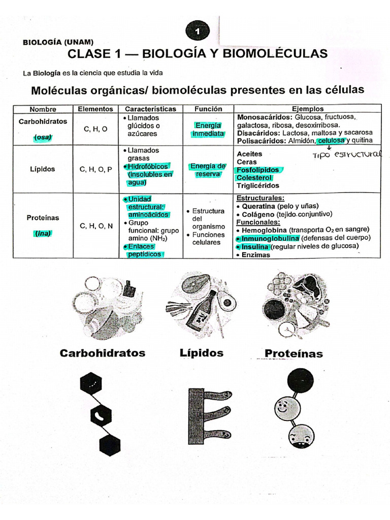 Clases Biología | PDF