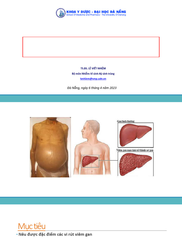 Vi Rut Viem Gan | PDF