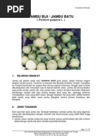 Download Jambu Biji by dhiforester SN8735556 doc pdf