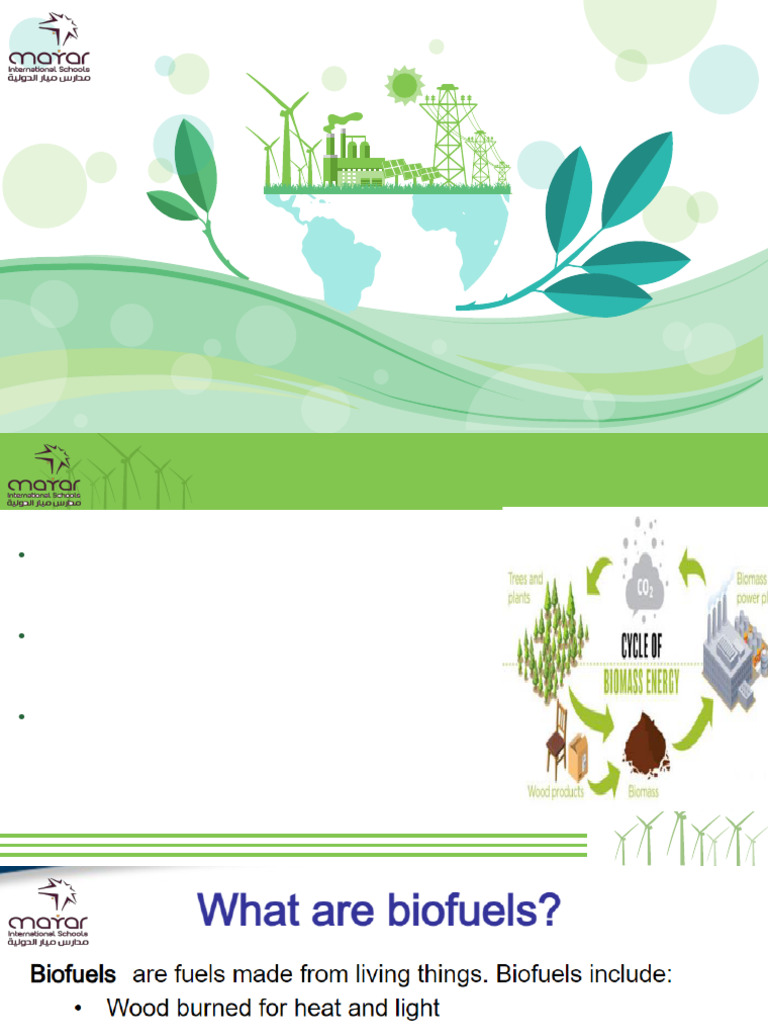 Types of Biofuels and Bioplastics | PDF