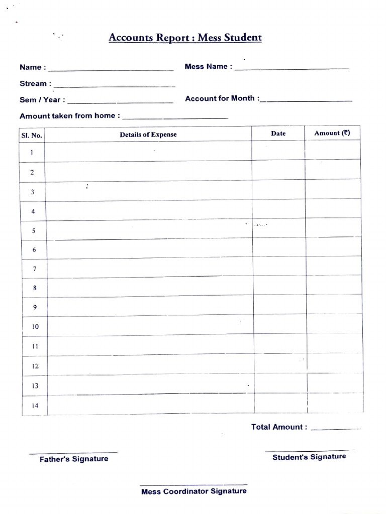 Mess Account Report Format | PDF