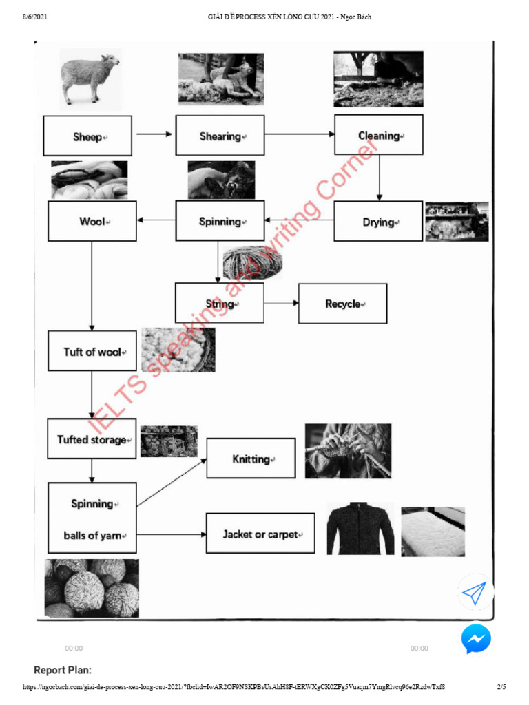 Wool Production Process Overview | PDF