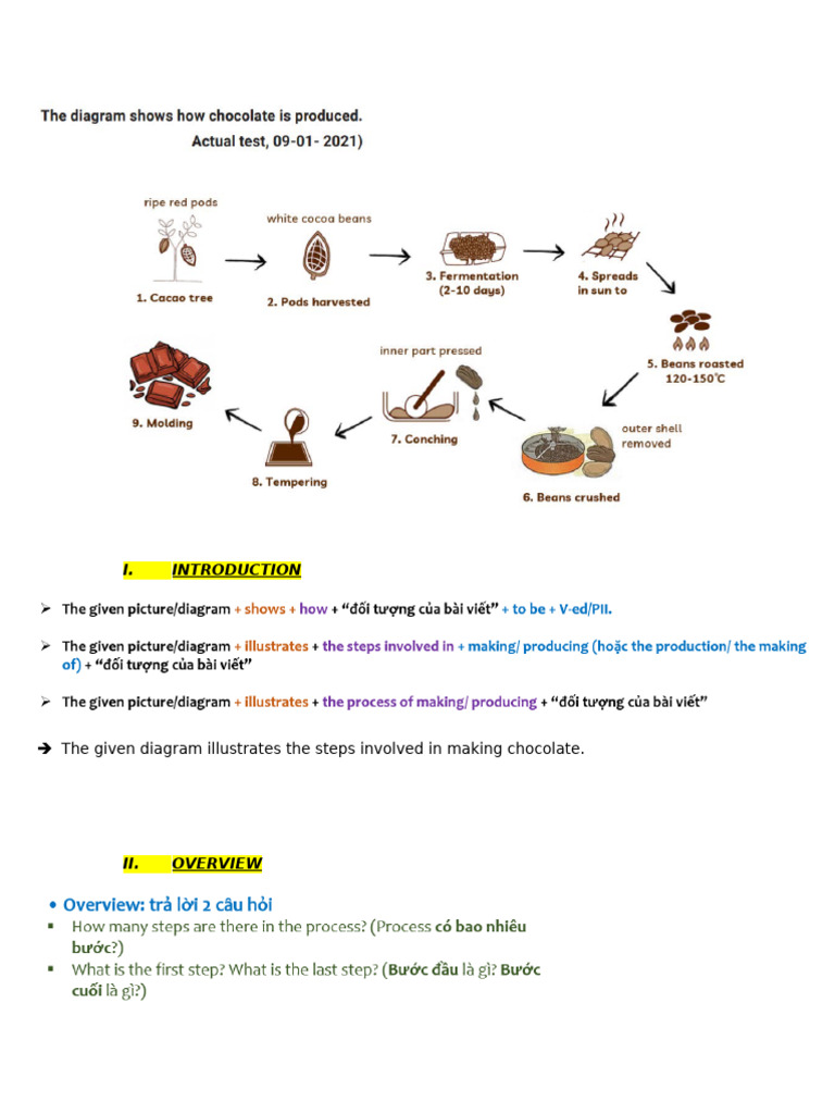 Producing Chocolate Copyhhh | PDF
