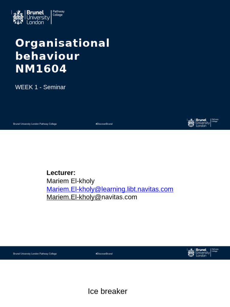 OB WEEK 1 - Seminar | PDF | Organizational Behavior | Behavior