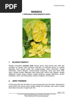 Download NANGKA by dhiforester SN8736040 doc pdf