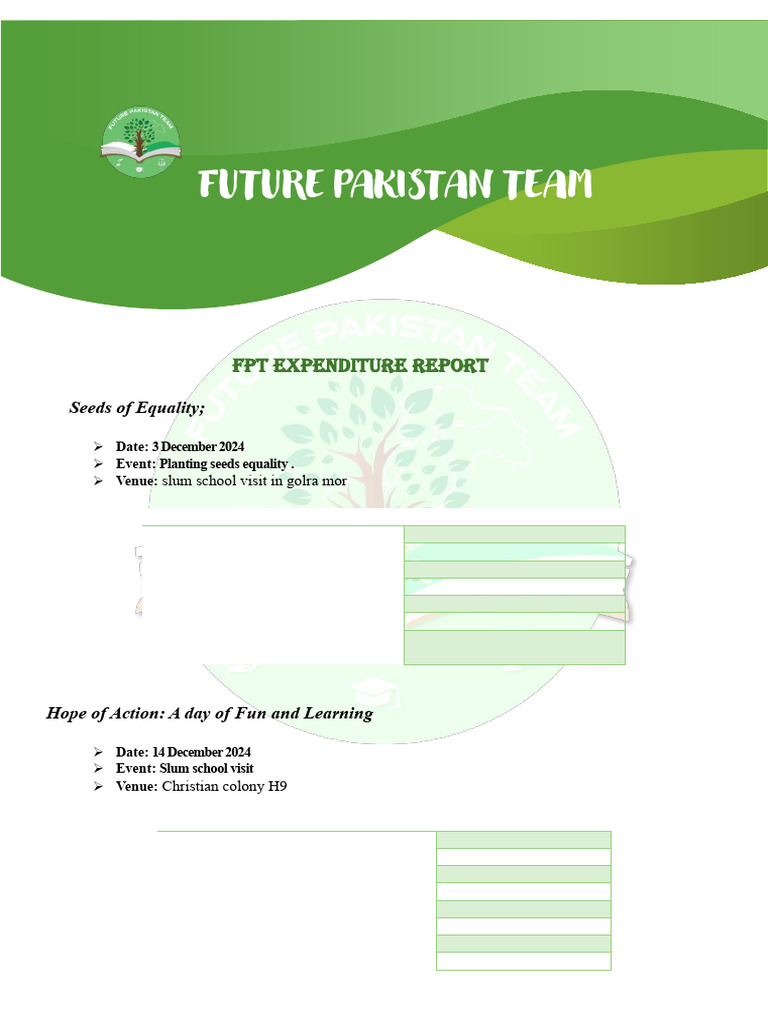 FPT Expenditure Report 2024-2025 | PDF