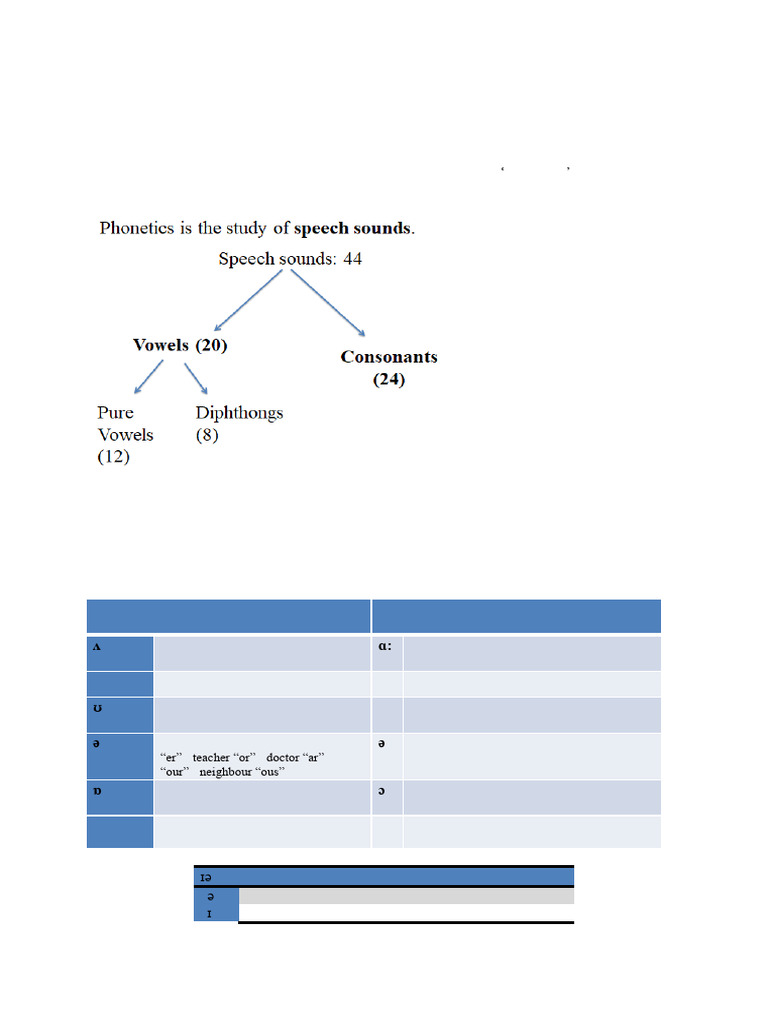 Understanding Phonetics and Speech Sounds | PDF | Phonetics | Larynx