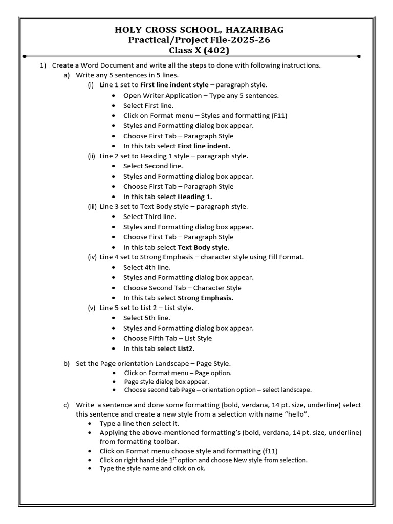Project File Guidelines for Class X | PDF | Computing | Software