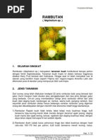Download Ram but An by dhiforester SN8736505 doc pdf
