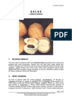 Download SALAK by dhiforester SN8736513 doc pdf